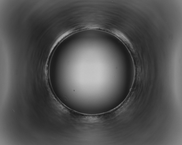 X0000087751190200705071107