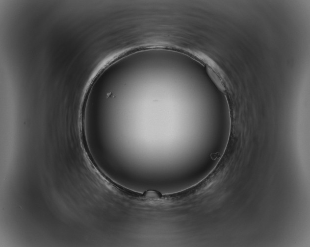 X0000087751191200705071107