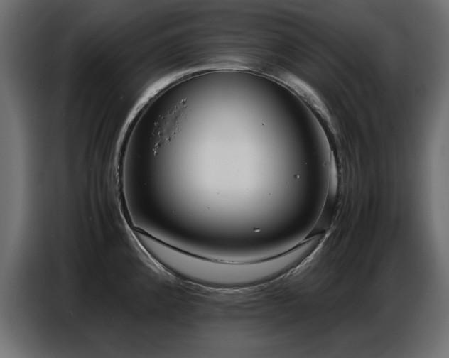 X0000087751192200705071107