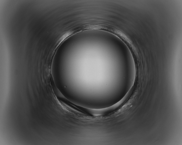 X0000087751193200705071107