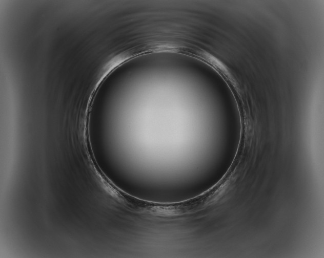 X0000087751194200705071107