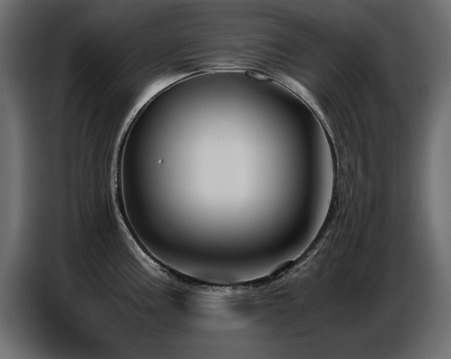X0000087751195200705071107