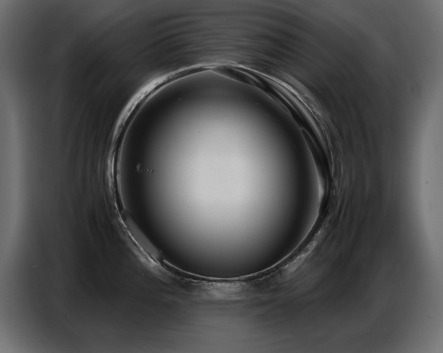 X0000087751196200705071107