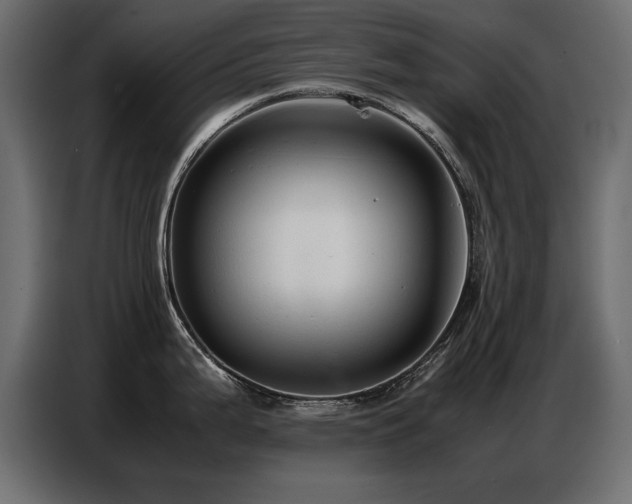 X0000087751199200705071107