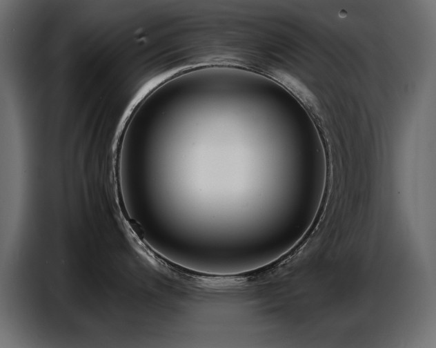 X0000087751200200705071107
