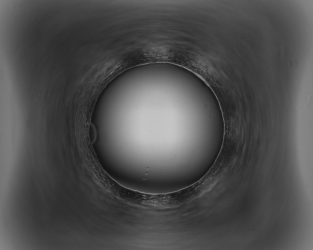 X0000087751201200705071106