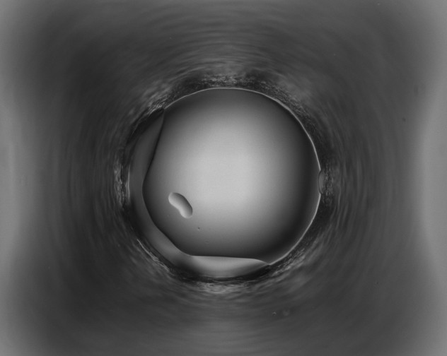 X0000087751202200705071106