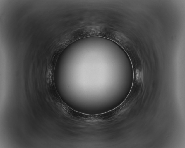 X0000087751203200705071106