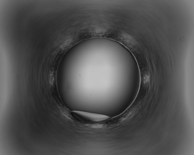 X0000087751204200705071106