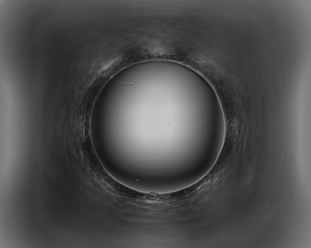 X0000087751205200705071106