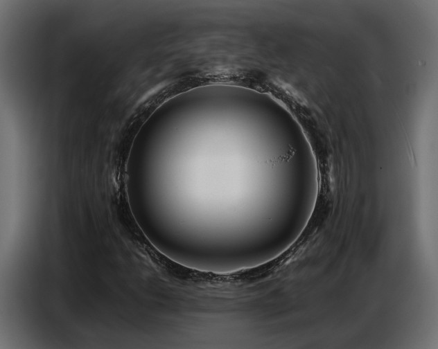 X0000087751206200705071106