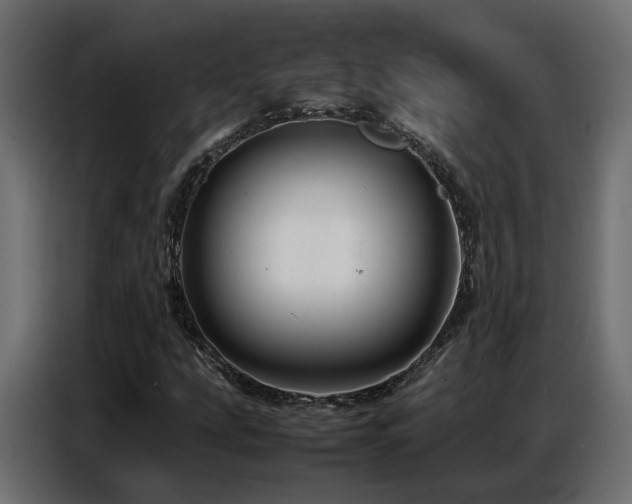 X0000087751207200705071106