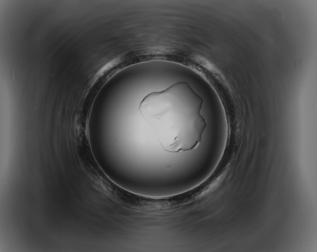 X0000087751210200705071106