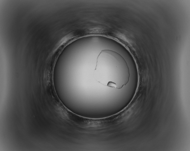X0000087751211200705071106