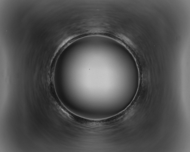 X0000087751212200705071106