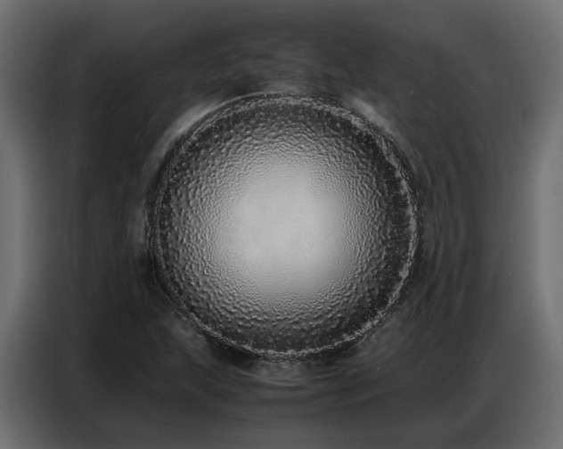 X0000087751215200705071106