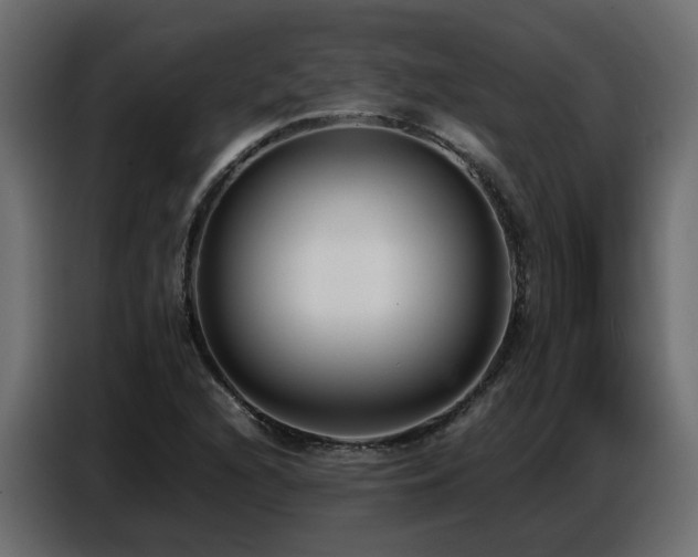 X0000087751216200705071106