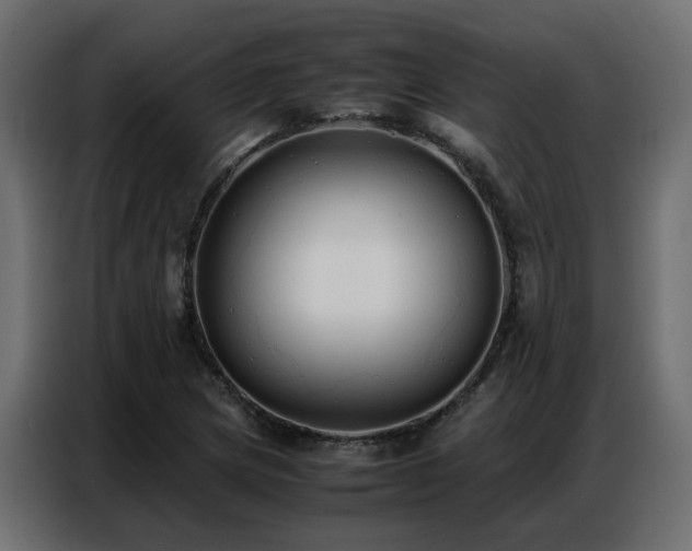 X0000087751217200705071106