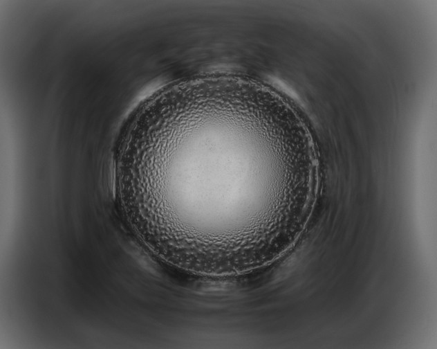 X0000087751219200705071106