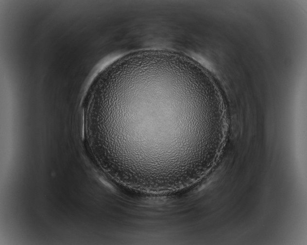 X0000087751223200705071106