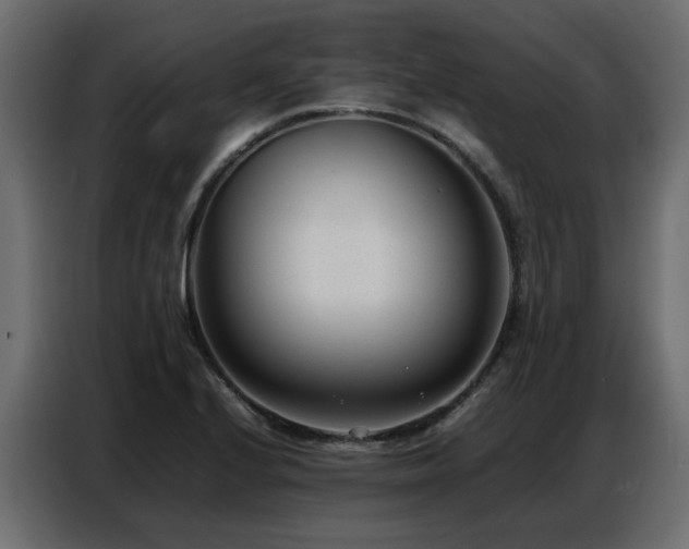 X0000087751224200705071106