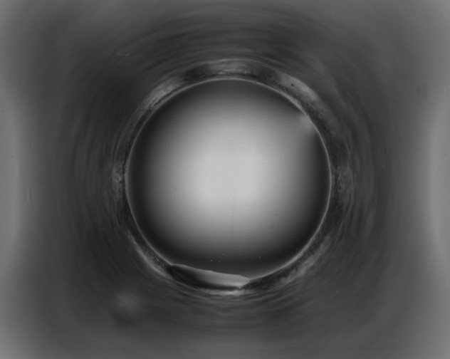 X0000087751225200705071106