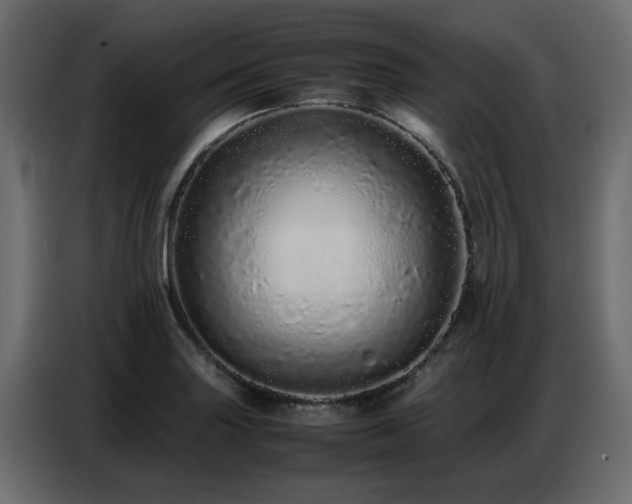 X0000087751227200705071106