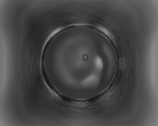 X0000087751229200705071106