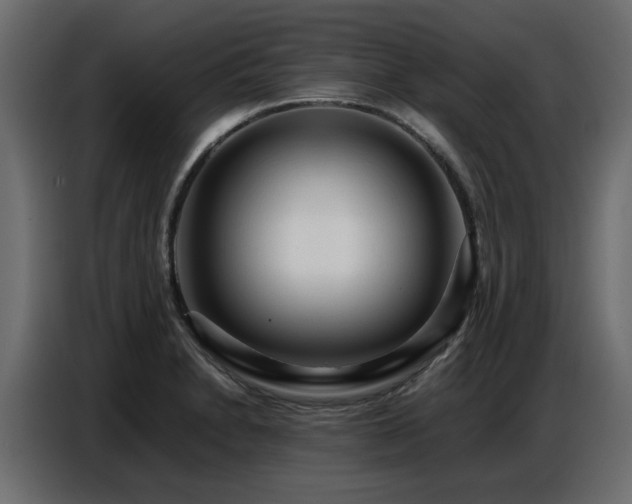 X0000087751230200705071106