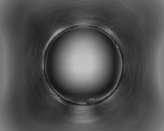 X0000087751232200705071106