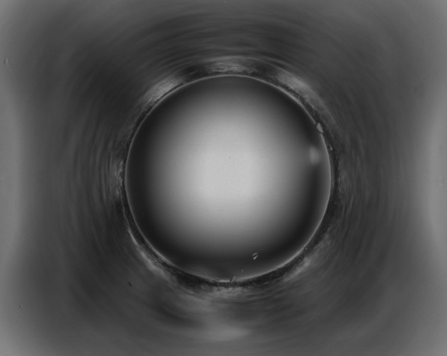 X0000087751233200705071106