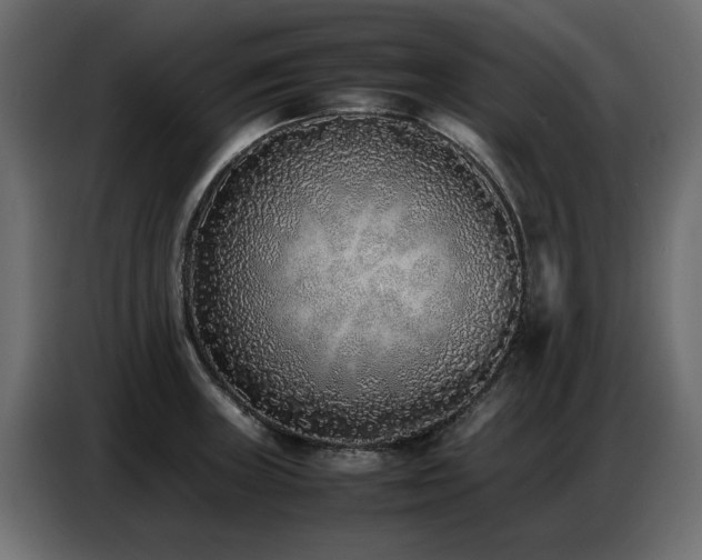 X0000087751235200705071106