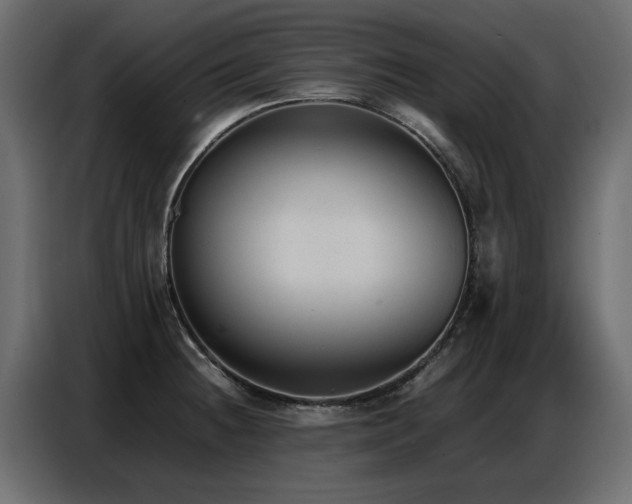 X0000087751236200705071106