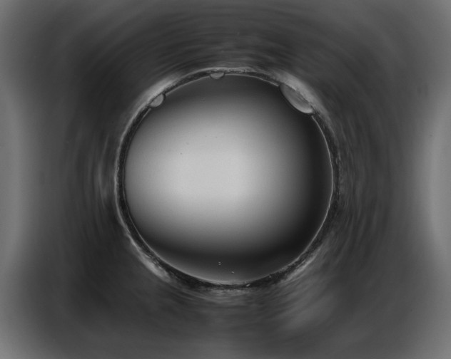 X0000087751237200705071106