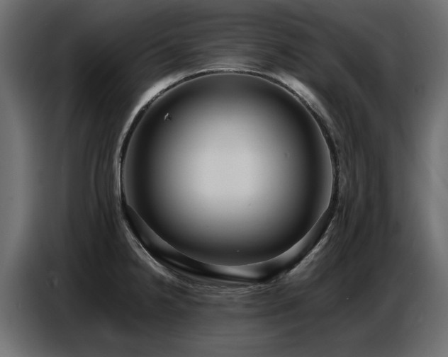 X0000087751238200705071106