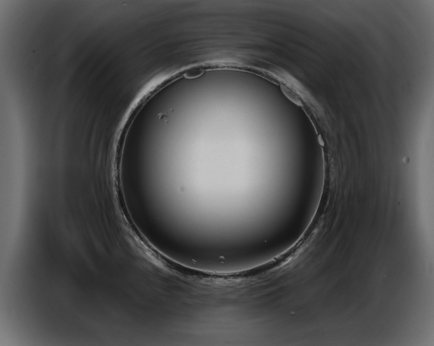 X0000087751240200705071107
