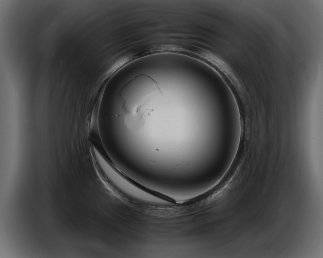 X0000087751241200705071107