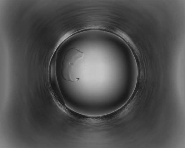 X0000087751242200705071107