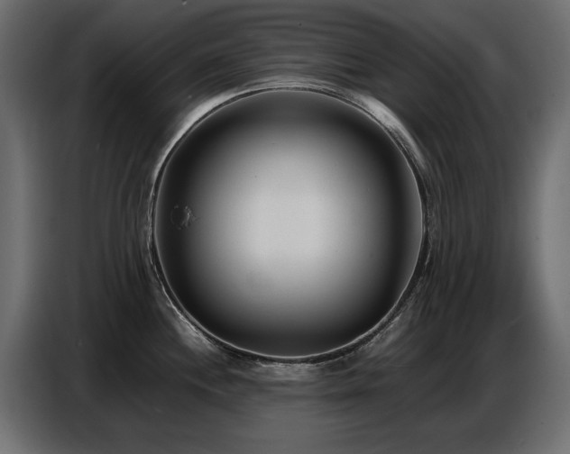 X0000087751244200705071107