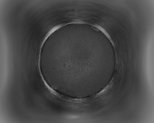 X0000087751245200705071107