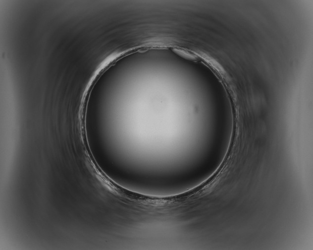 X0000087751248200705071107