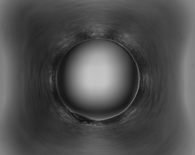X0000087751250200705071106