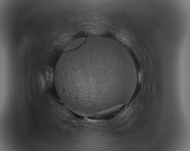 X0000087751251200705071106