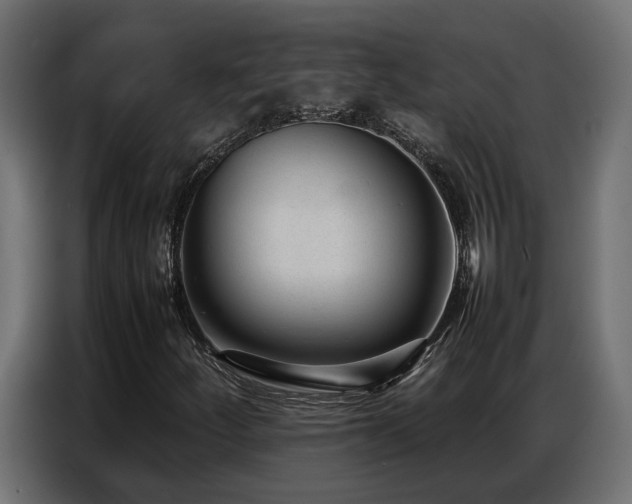 X0000087751252200705071106