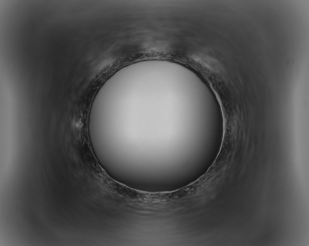 X0000087751254200705071106