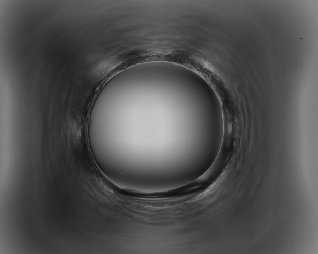 X0000087751257200705071106