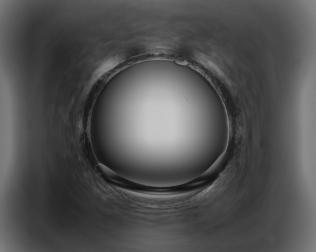 X0000087751261200705071106
