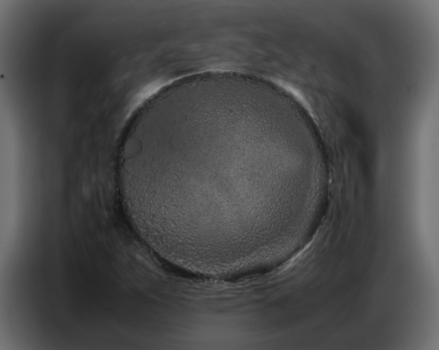 X0000087751263200705071106
