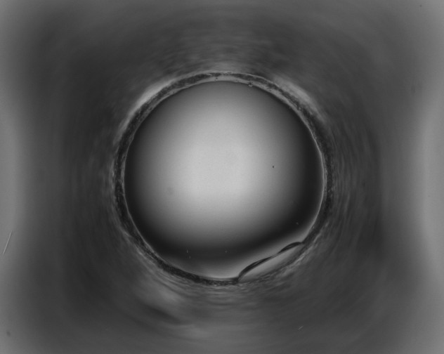 X0000087751264200705071106
