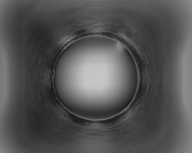 X0000087751265200705071106